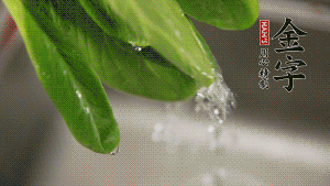 燒一鍋開水，滴一點(diǎn)油，水開后汆燙青菜至斷生即可。